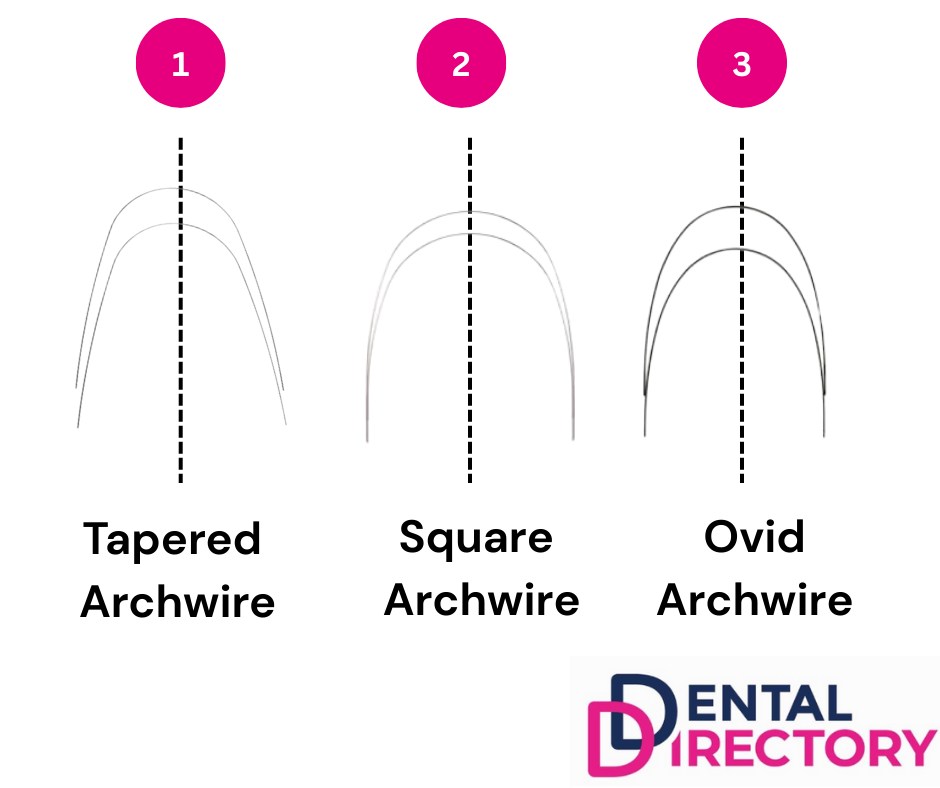 Three archwire examples, a pointed Tapered archwire, a square form, and an ovid form. Each of these archwires have a line down the middle to help with visualisation.
