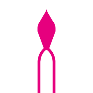 Flame (243) Bur Diagram