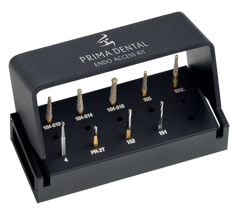 BFP010 Endodontic Bur Access Kit