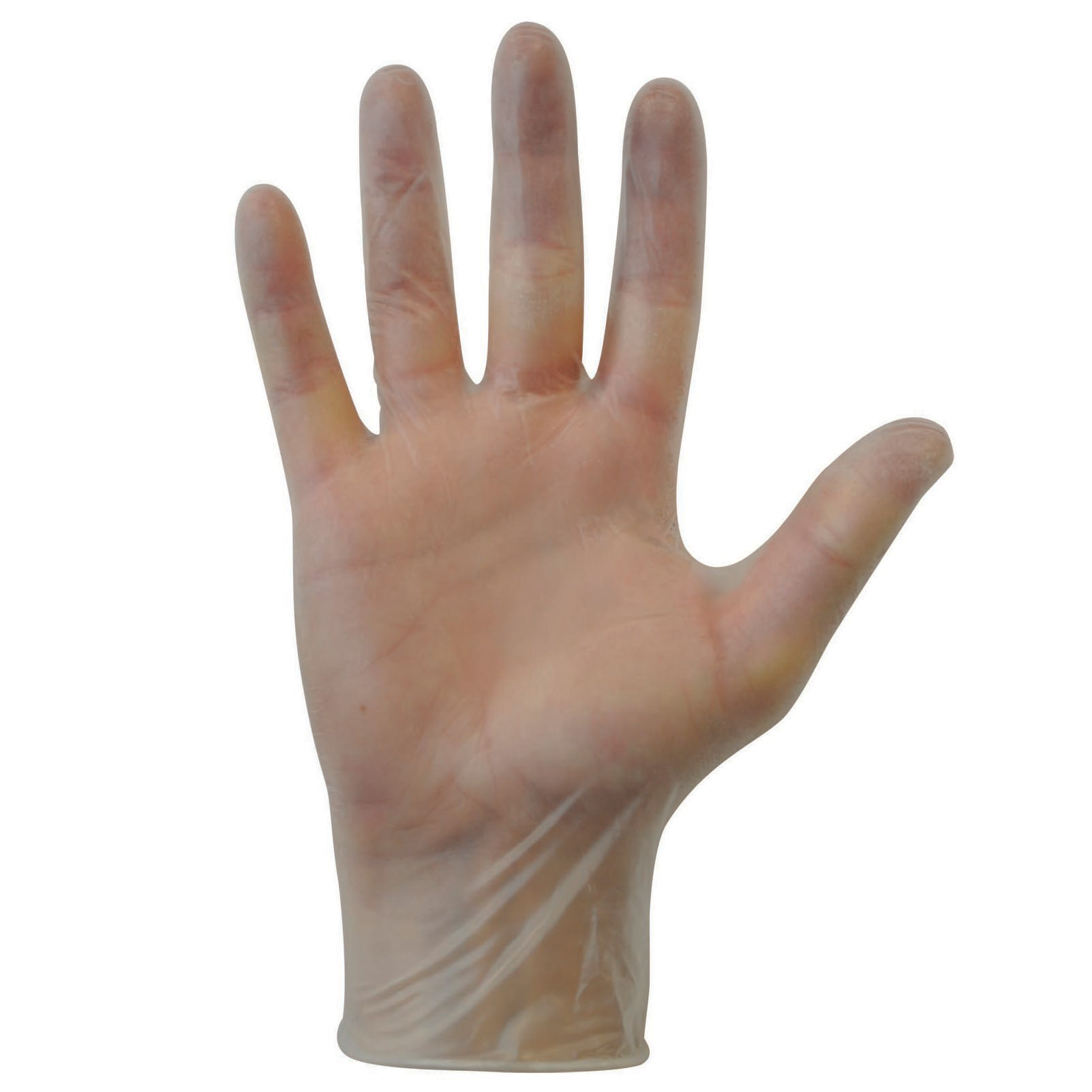 Clear Vinyl Examination Gloves Powder Free Large 