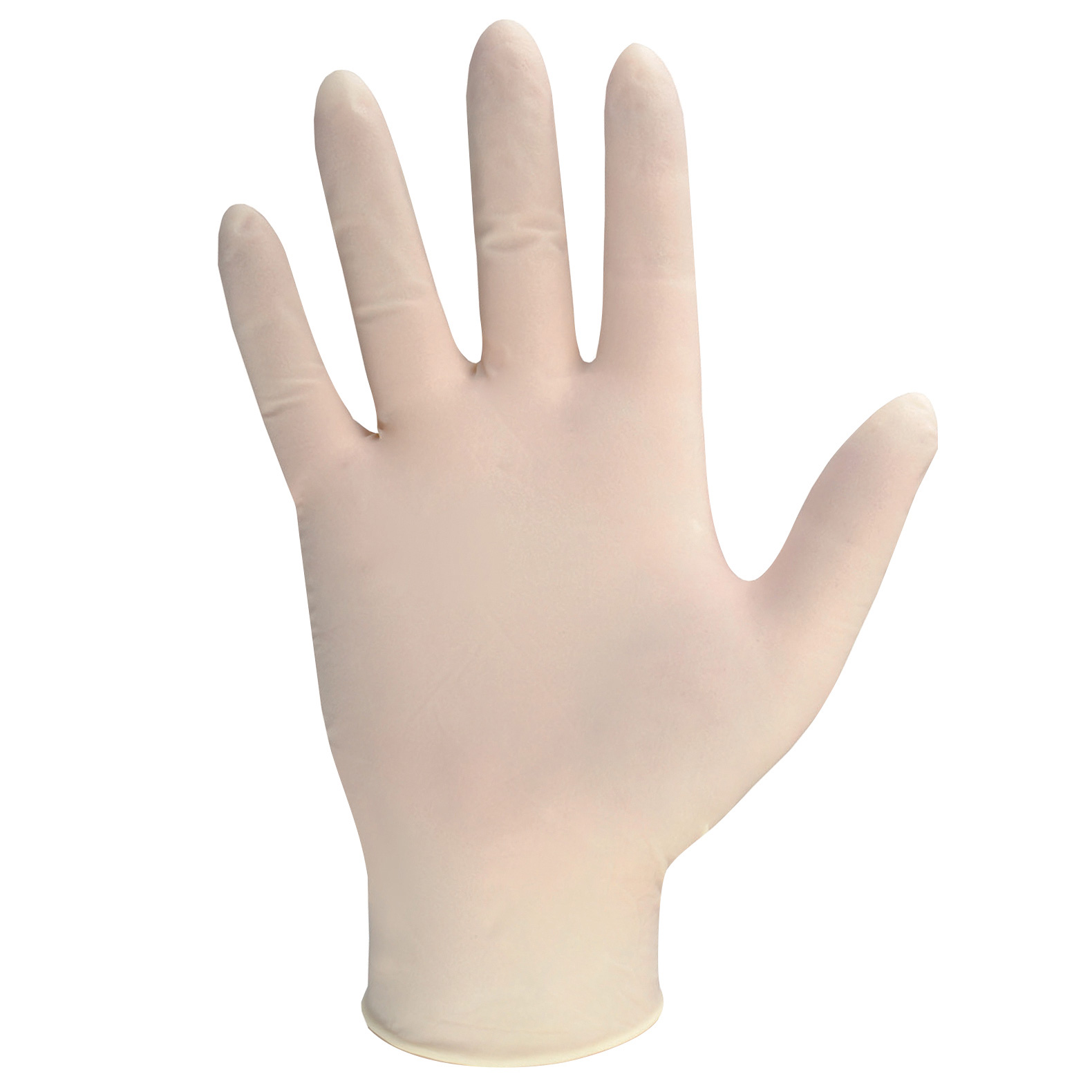 White Stretch Vinyl Powder Free Gloves Large 