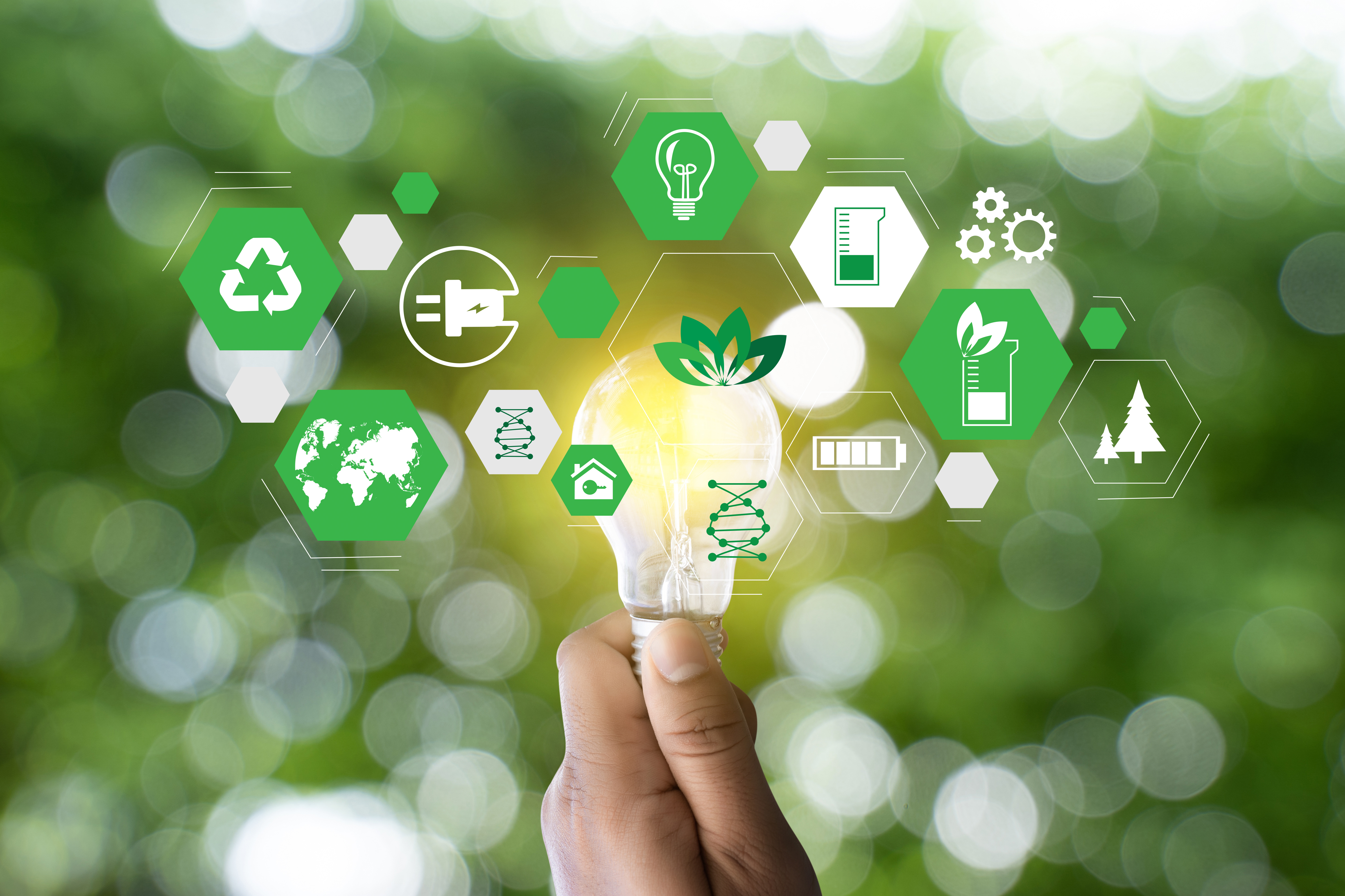 Environmental Sustainability