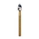 023 Carbide FG Egg Shape Bur 