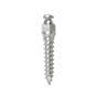 Absoanchor Small Head 7mm