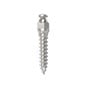 Absoanchor Small Head Microimplant 8mm