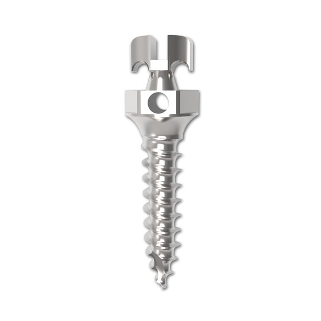 Bracket Head Microimplant 1.6 mm Diam 7mm