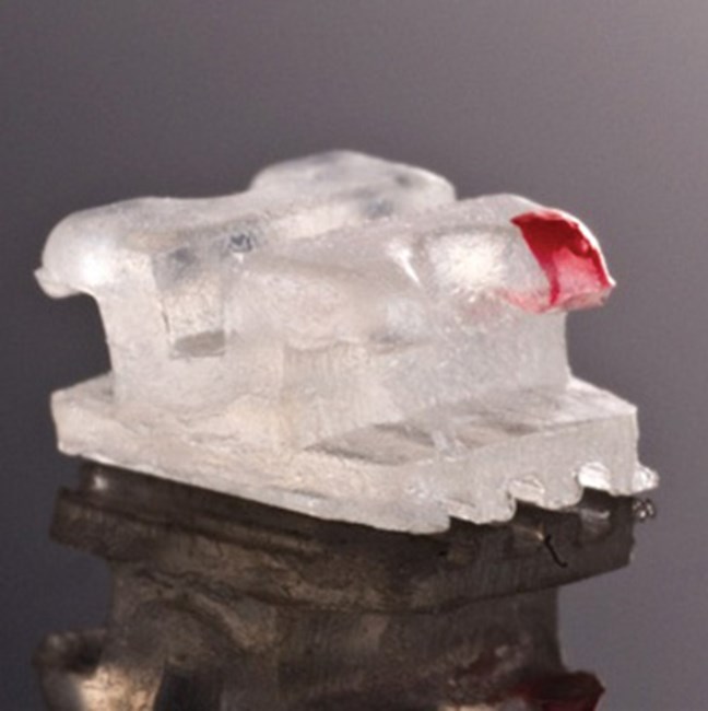 Lucid-Lok UR1 Bracket