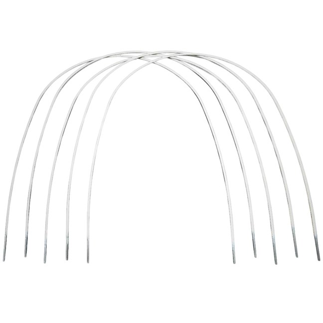 .016 NiTi Tooth-Color Upper Wire