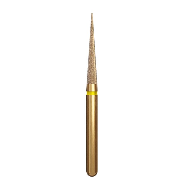 Diamond Burs Needle 859 EF 018 10