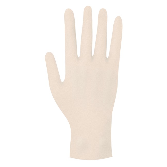 Vinyl 2000 Powder Free Gloves - Large