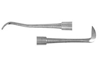 DCC170_1.jpg