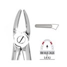 Forceps - Autoclavable 7 Upper Roots & Bicuspids 