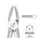 Forceps - Autoclavable 7 Upper Roots & Bicuspids