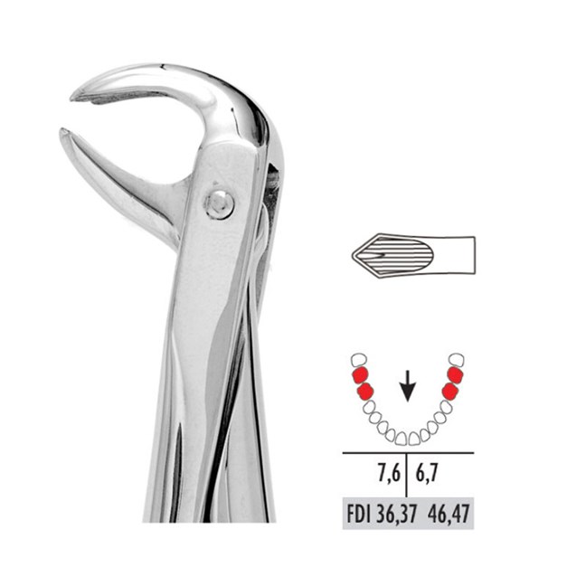 Forceps - Autoclavable 73 Lower Molars (Hawk’s Bill)
