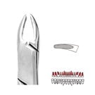 Forceps - Autoclavable 76N Small Upper Roots (Read) 
