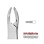 Forceps - Autoclavable 76 Upper Roots (Read)