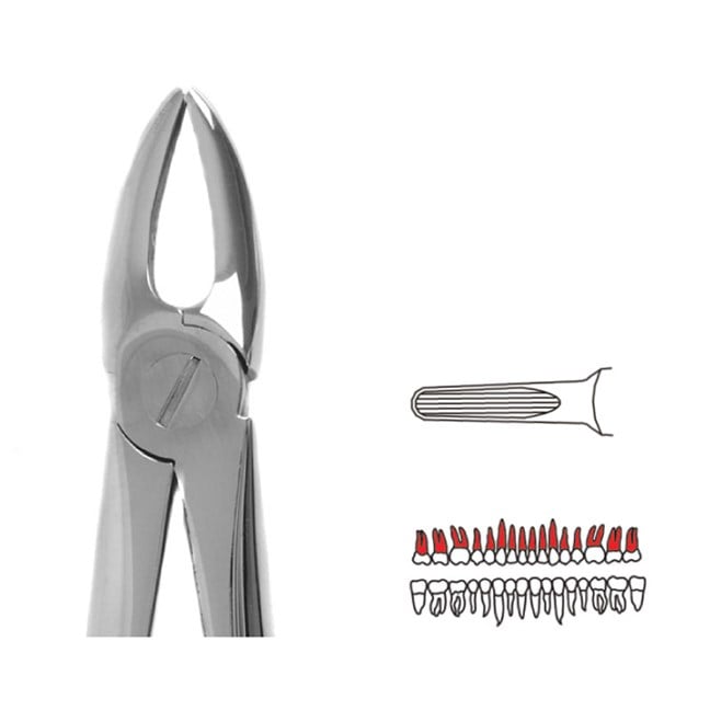 Forceps - Autoclavable 113 Upper Roots (Martin)