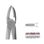 Forceps - Autoclavable 113 Upper Roots (Martin)