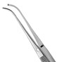 Tissue Pliers Semkin-Taylor - TP34 1X2 Curved