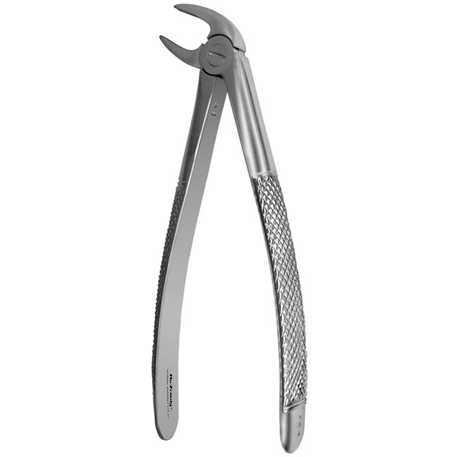 Forceps 4 Anterior