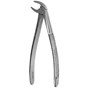 Forceps 4 Anterior