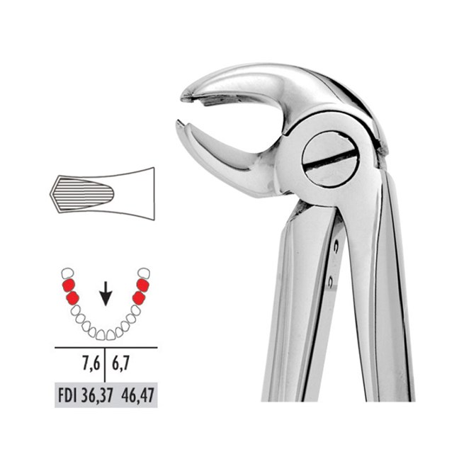 Forceps Premier Range - Autoclavable 22 Lower Molars (Hawk’s Bill)