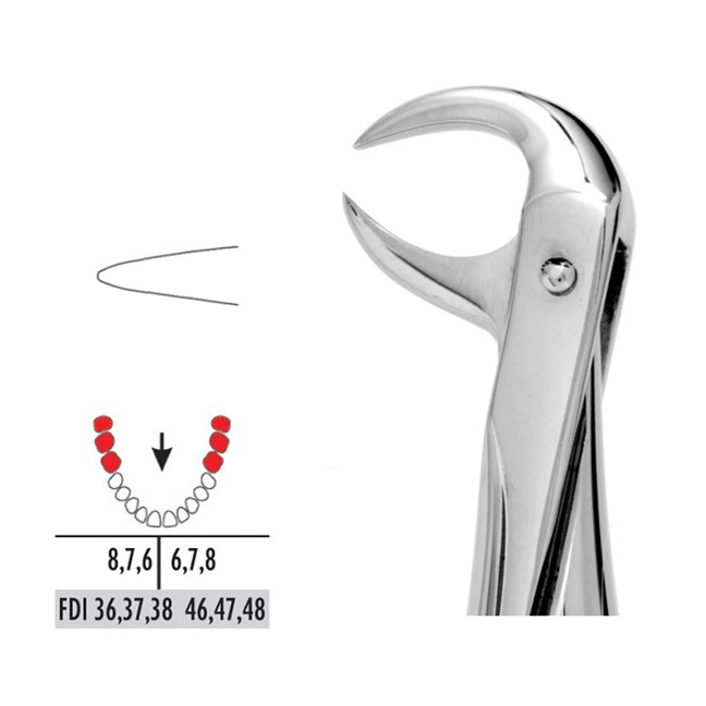 Forceps Premier Range - Autoclavable 86 Lower Molars (Cowhorn)