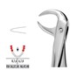 Forceps Premier Range - Autoclavable 86 Lower Molars (Cowhorn)