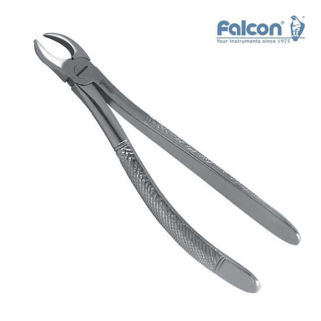 Extraction Forceps European Pattern Fig 89
