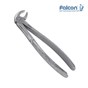 Extraction Forceps English Pattern Fig 13