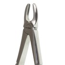 Deluxe Forcep No 37 