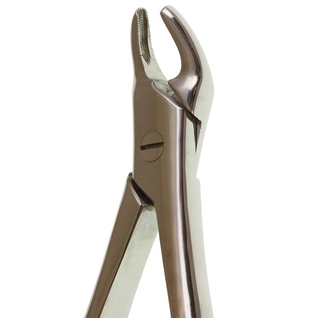Deluxe Forcep No 138