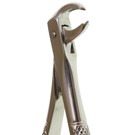 Deluxe Forcep No 161 