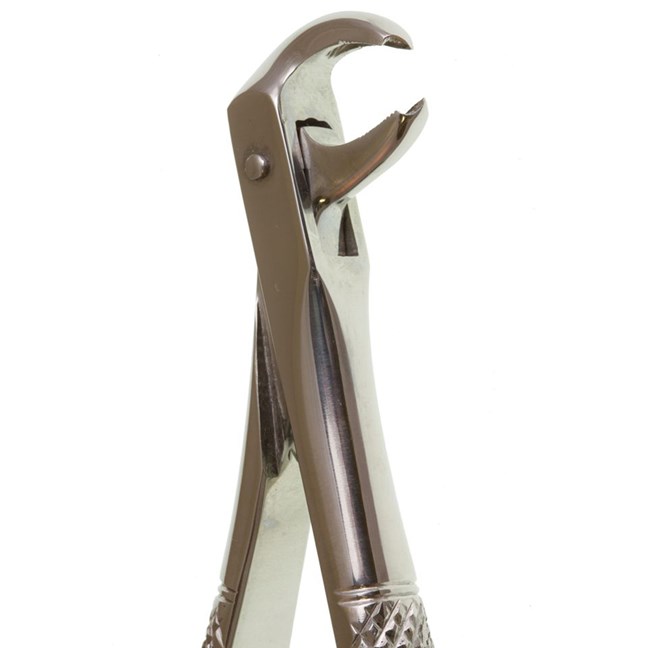 Deluxe Forcep No 161