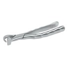 Physics Forceps - Pediatric Series Upper Left GMX 50 