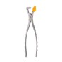 Physics Forceps - Molar Series GMX 400 EZ1