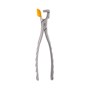 Physics Forceps - Molar Series GMX 400 EZ2