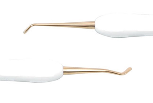 Titanium Nitride-Coated Instruments 1 Plastic DE