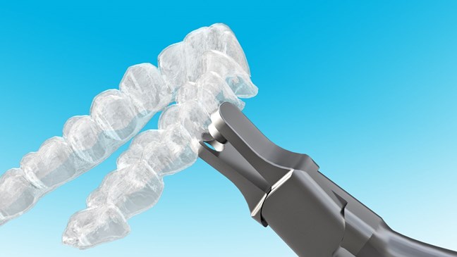 Clear Collection Petite Punch Plier