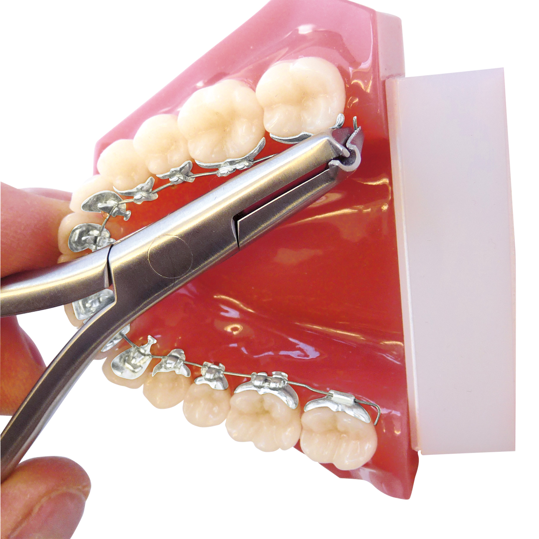 DPI764 Distal Cinch Back Plier Long Handle with Serration