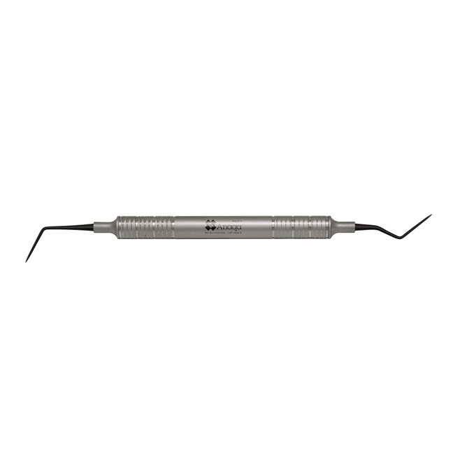 Probe DG16 9.5mm handle Stainless Steel