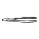 Standard Extraction Forcep #2 Upper incisors and canines, Ergonomic 