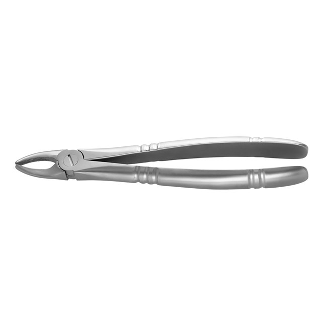 Standard Extraction Forcep #2 Upper incisors and canines, Ergonomic
