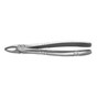 Standard Extraction Forcep #2 Upper incisors and canines, Ergonomic