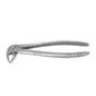 Standard Extraction Forcep #33 Lower roots, Ergonomic