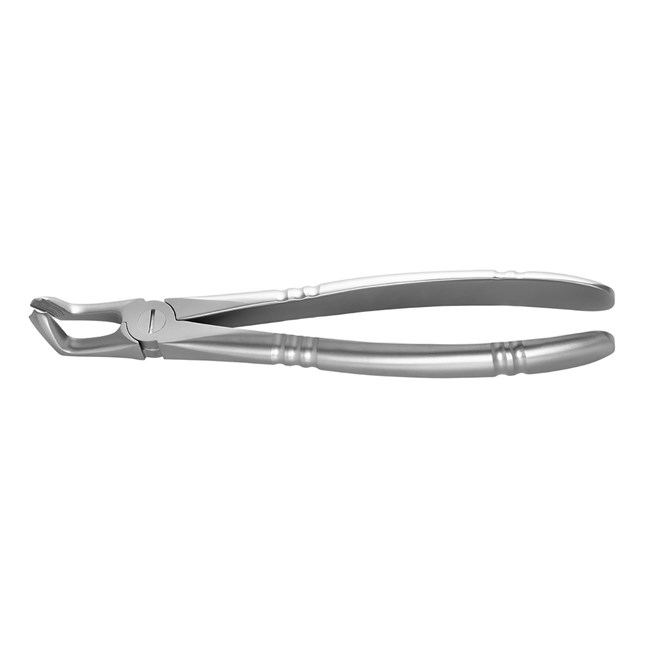 Standard Extraction Forcep # 79 Lower 3rd molars, Ergonomic