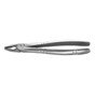 Deep Grip Extraction Forceps Ergonomic Upper Incisor