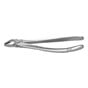 Deep Grip Extraction Forceps Ergonomic Upper Canines and Premolars