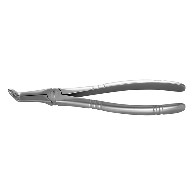 Root Forceps Universal