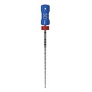 HyFlex K-Files 030 31 mm 